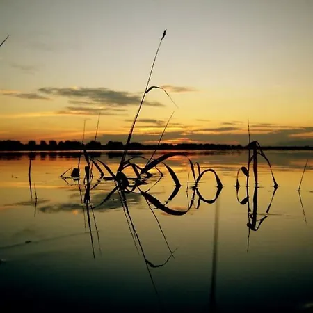 Haus In Der Ruhigen Siedlung *