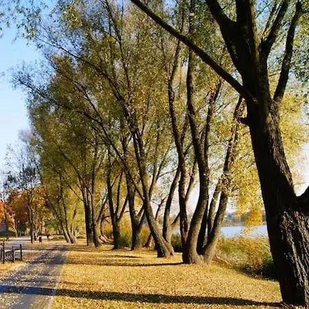 Haus In Der Ruhigen Siedlung