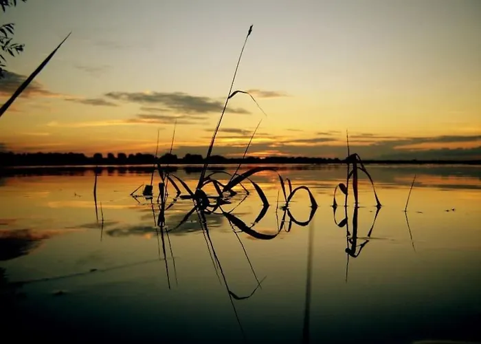 Haus In Der Ruhigen Siedlung *