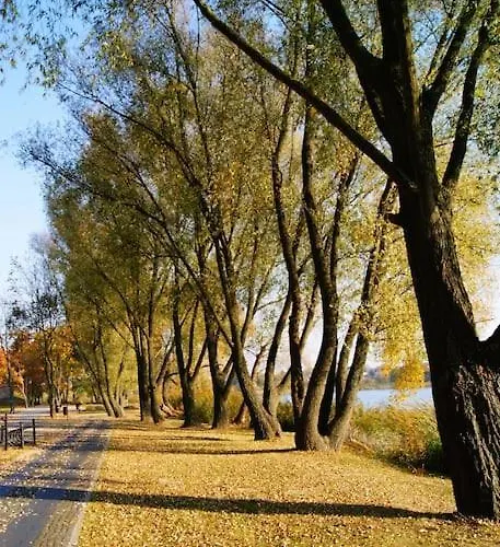 Haus In Der Ruhigen Siedlung